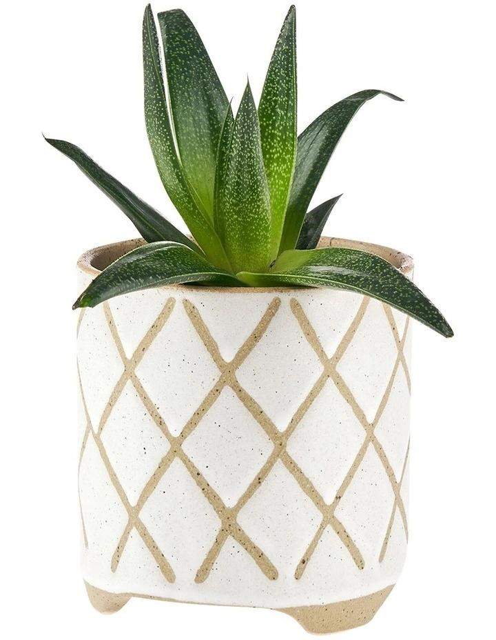 Linen House Estrada Planter Pot 16cm In White - Image 2